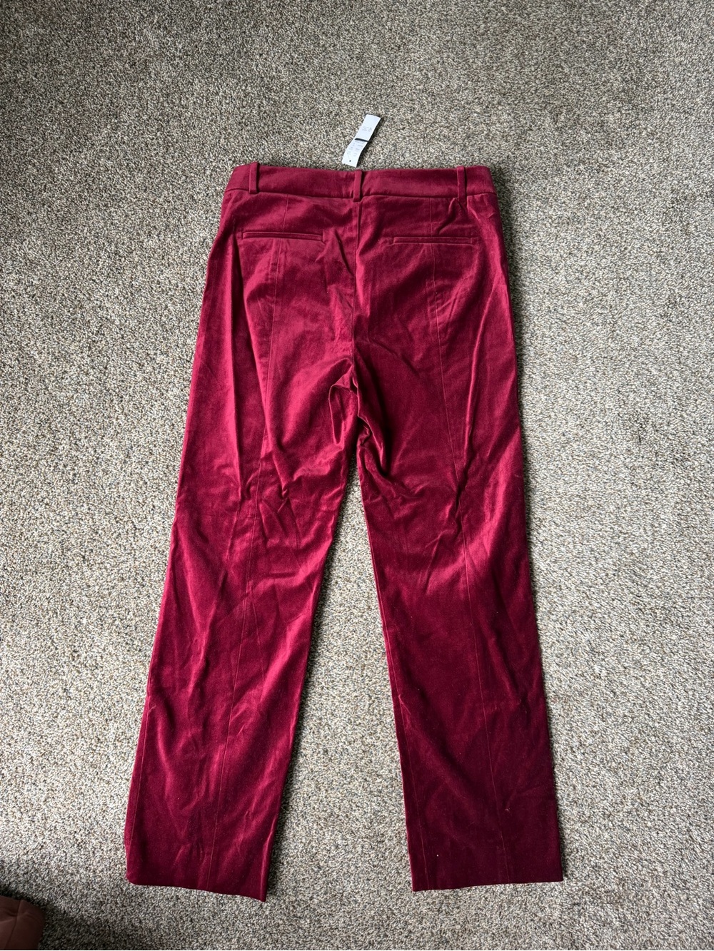 J Crew Stella pant in velvet NWT - Picture 7 of 8